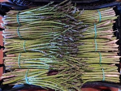 Verdura fresca — asparagi di stagione