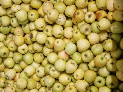 Frutta fresca selezionata